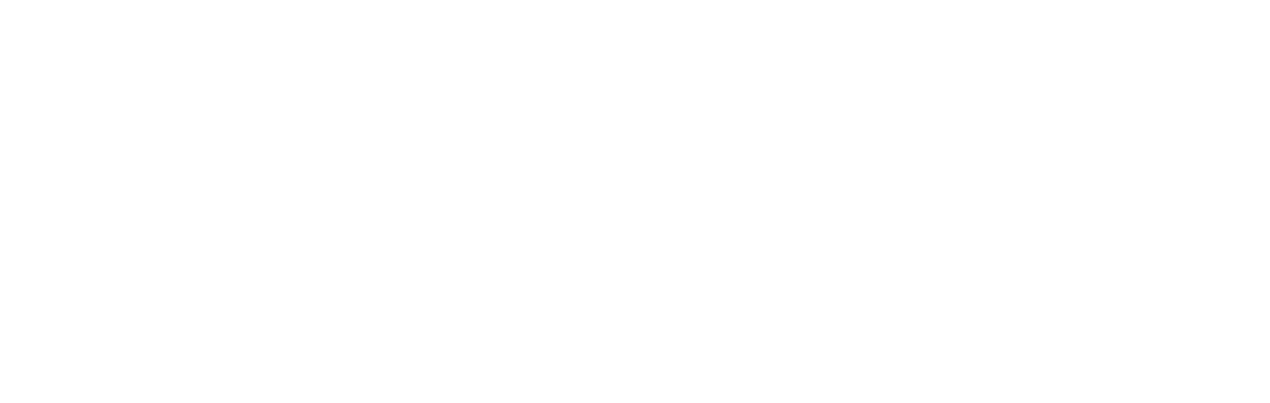 Logo Almtraum Appartementen Berwang Oostenrijk