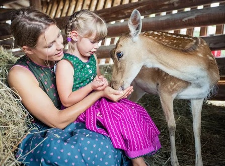 Hert voeren in de kinderboerderij